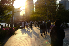 汽車道の夕日