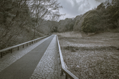 四季の森公園 乾いた湿原