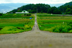アルプス展望しののめの道