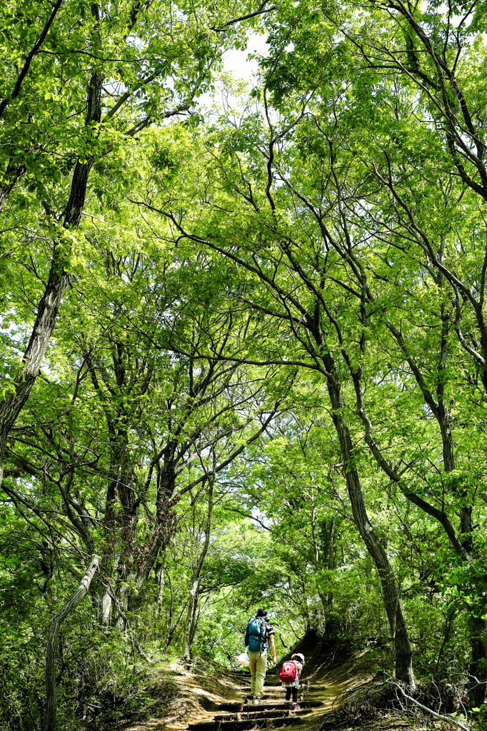 green tunnel