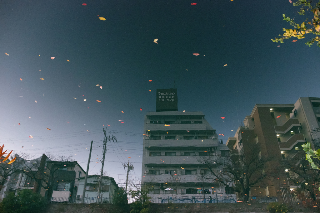 日暮れの大岡川
