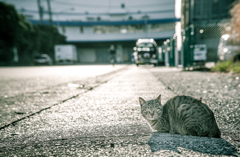 にらめっこ～