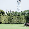 turf