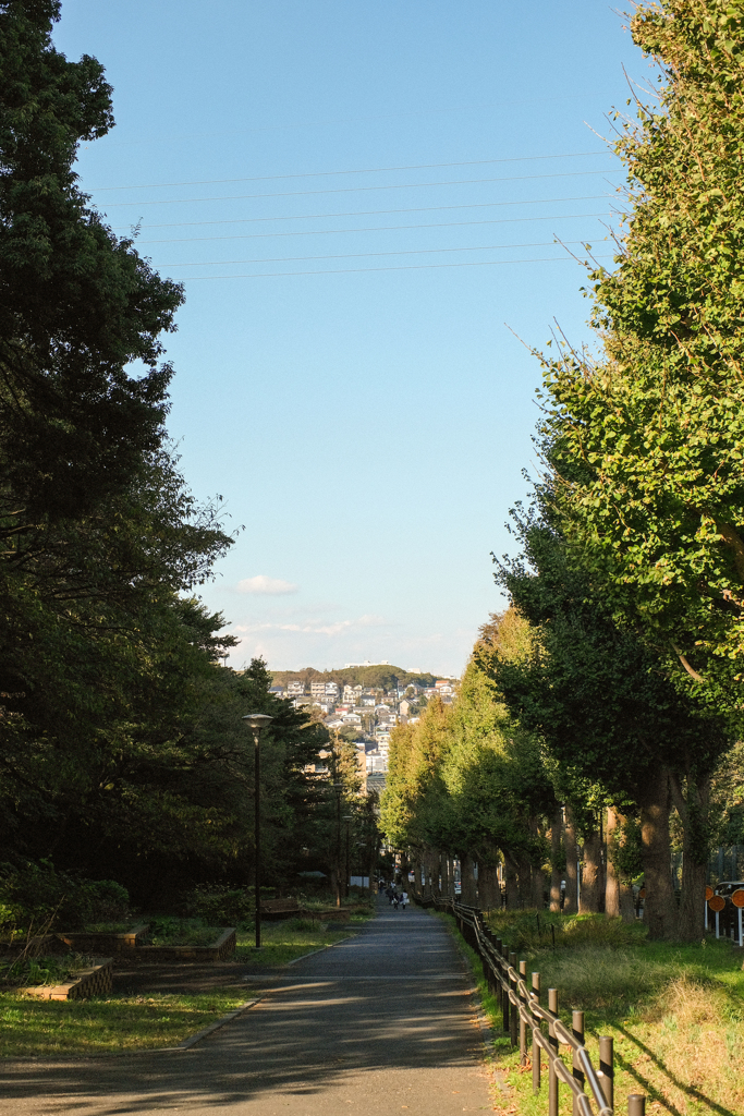 秋の坂道