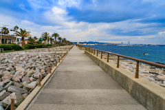 馬堀海岸の遊歩道