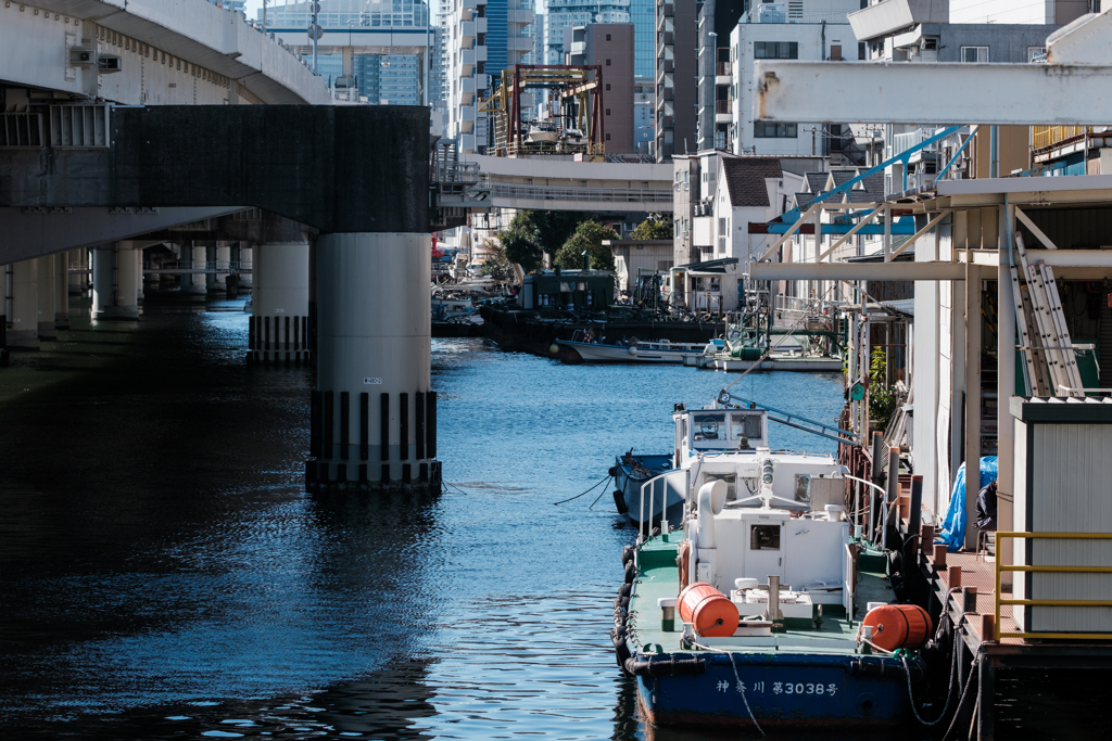 神奈川