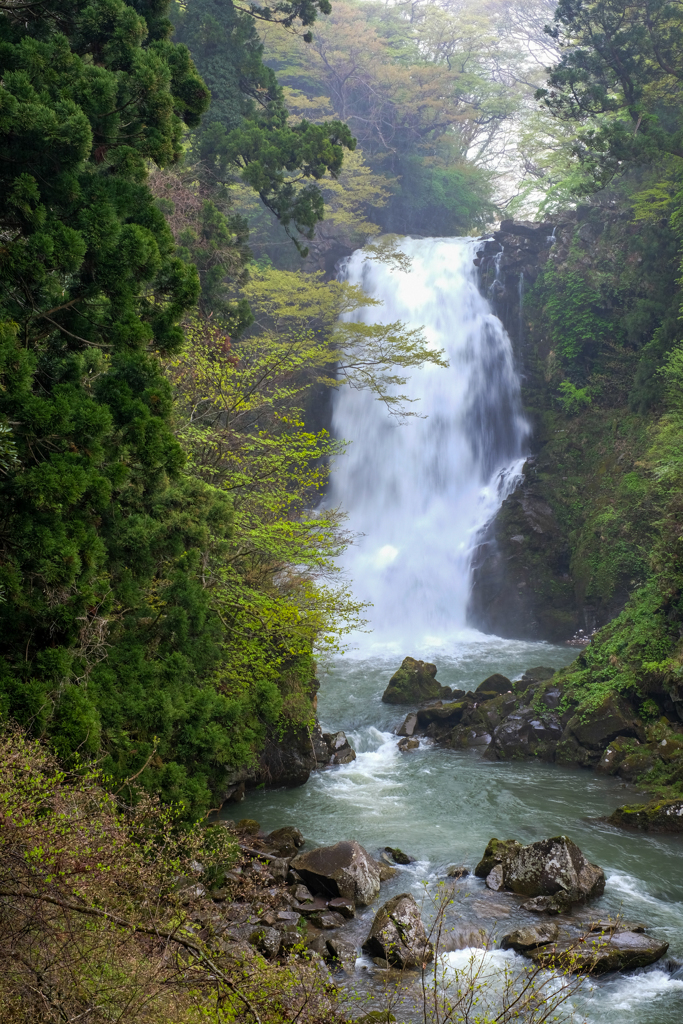 奈曽の白滝