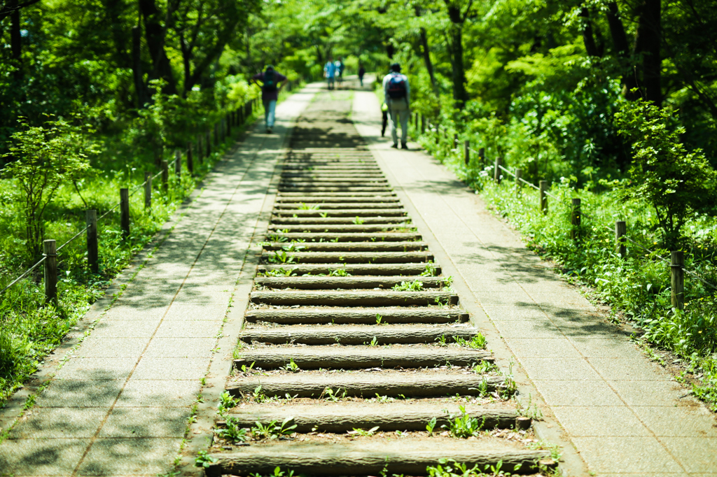green step