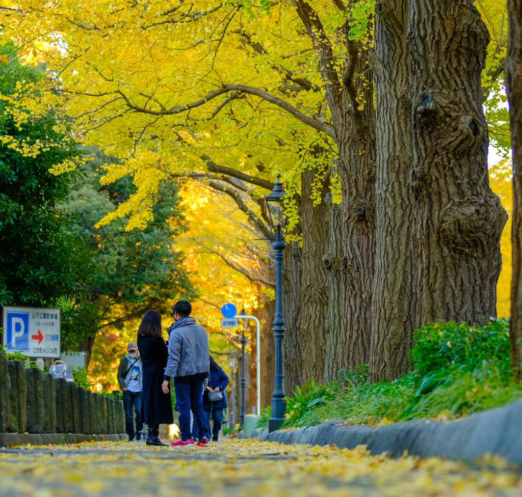 山下公園通り