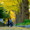 山下公園通り