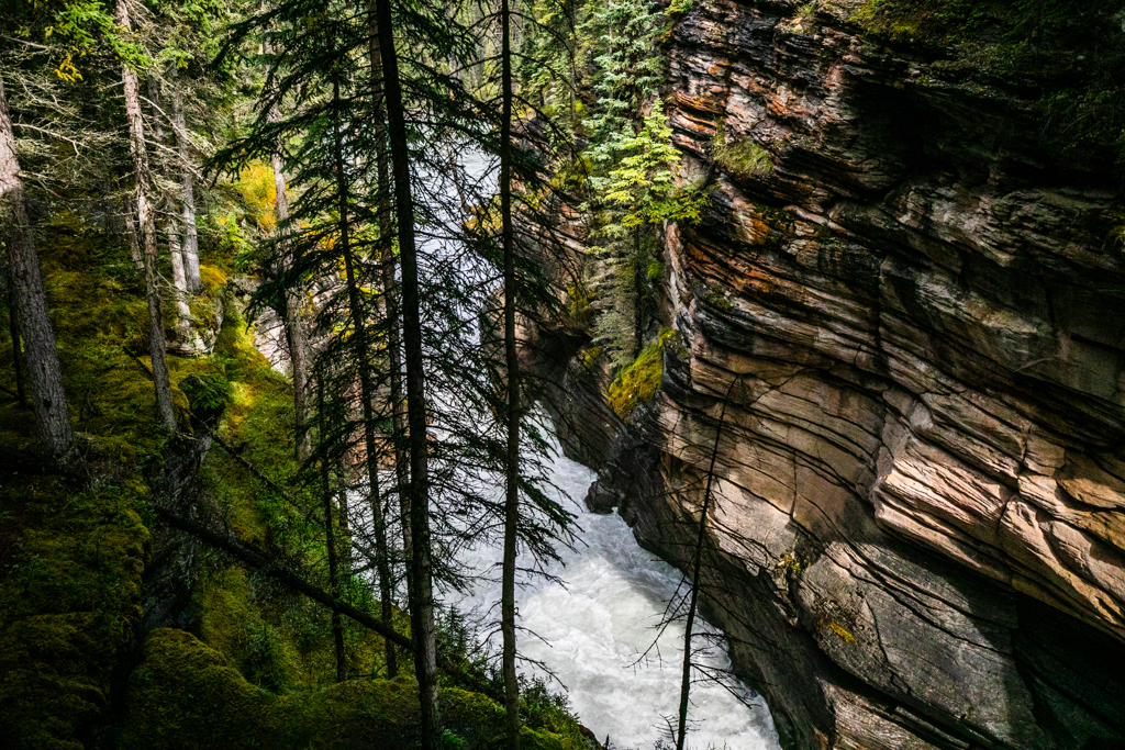 Athabasca Falls