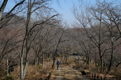 弘法山ハイキング with XF35mm F1.4 R ④