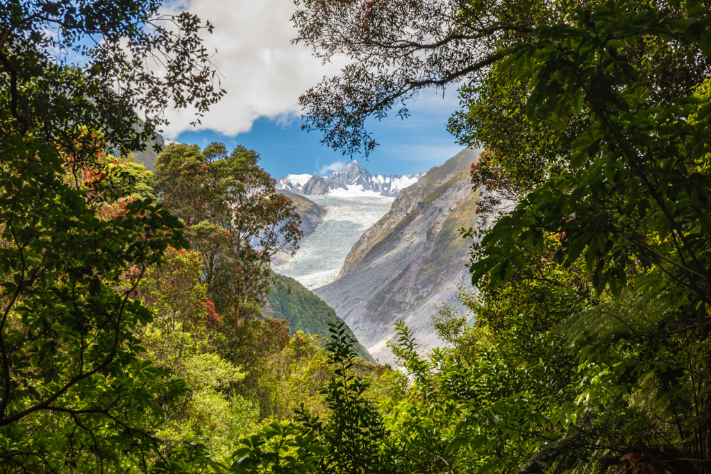 Fox Glacier