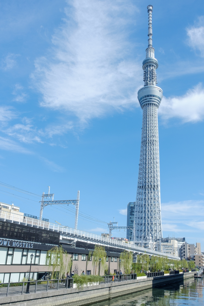 源森橋から見上げるスカイツリー