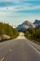 View of Icefield Parkway