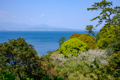 春の相模湾