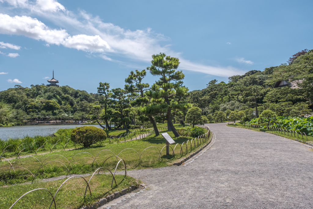 夏の三溪園