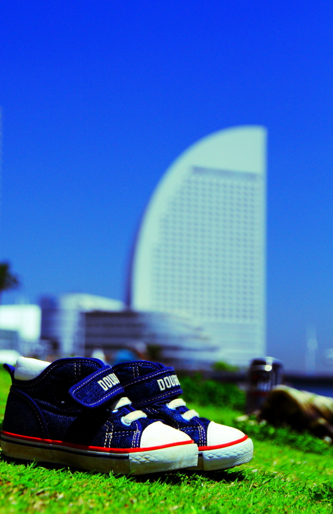 the sunny day