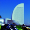 the sunny day