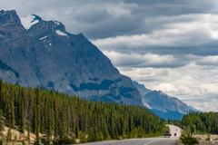 Let's go drive to the Icefields Parkway