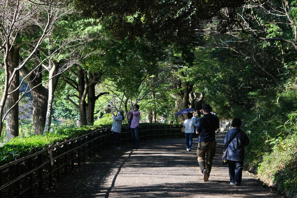 三ツ池公園