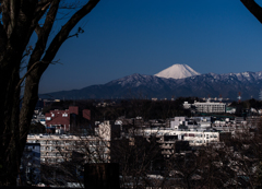 大倉山公園から望む富士