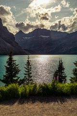 Bow Lake