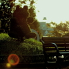 黄昏動物園 - 夕日を眺めるエントランスのオブジェ達