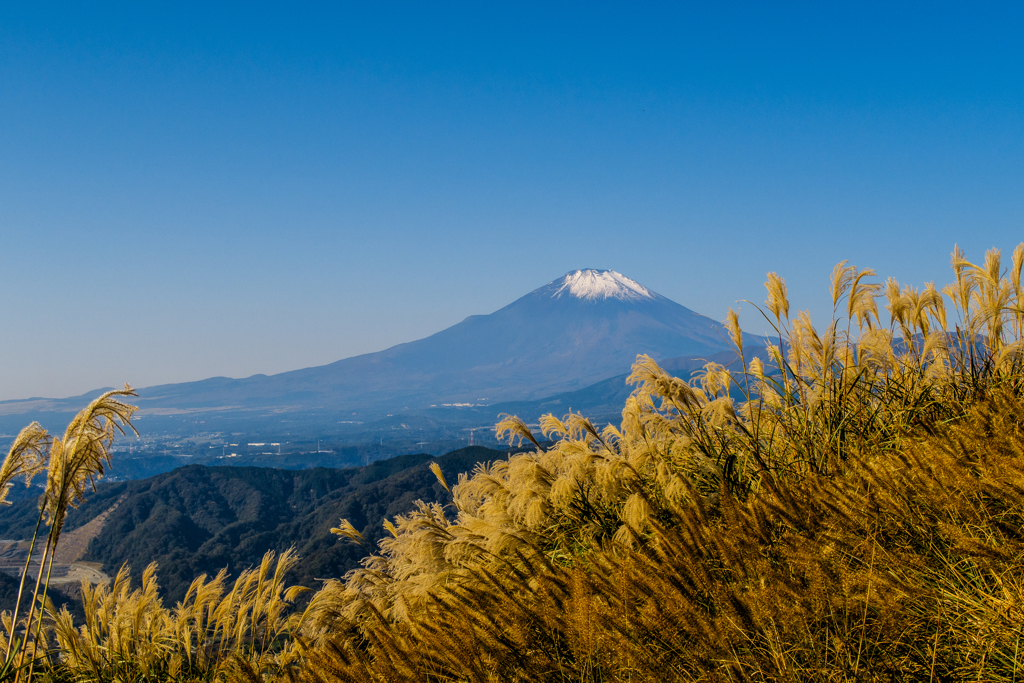 大野山トレッキング#2 [Powershot]