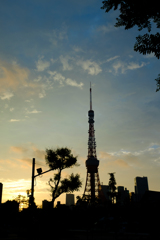 5月の空
