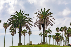 小坪海浜公園