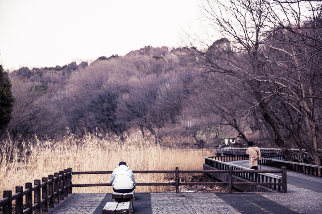 四季の森公園 冬景色