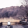四季の森公園 冬景色