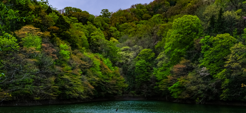鶏頭場ノ池(十二湖)