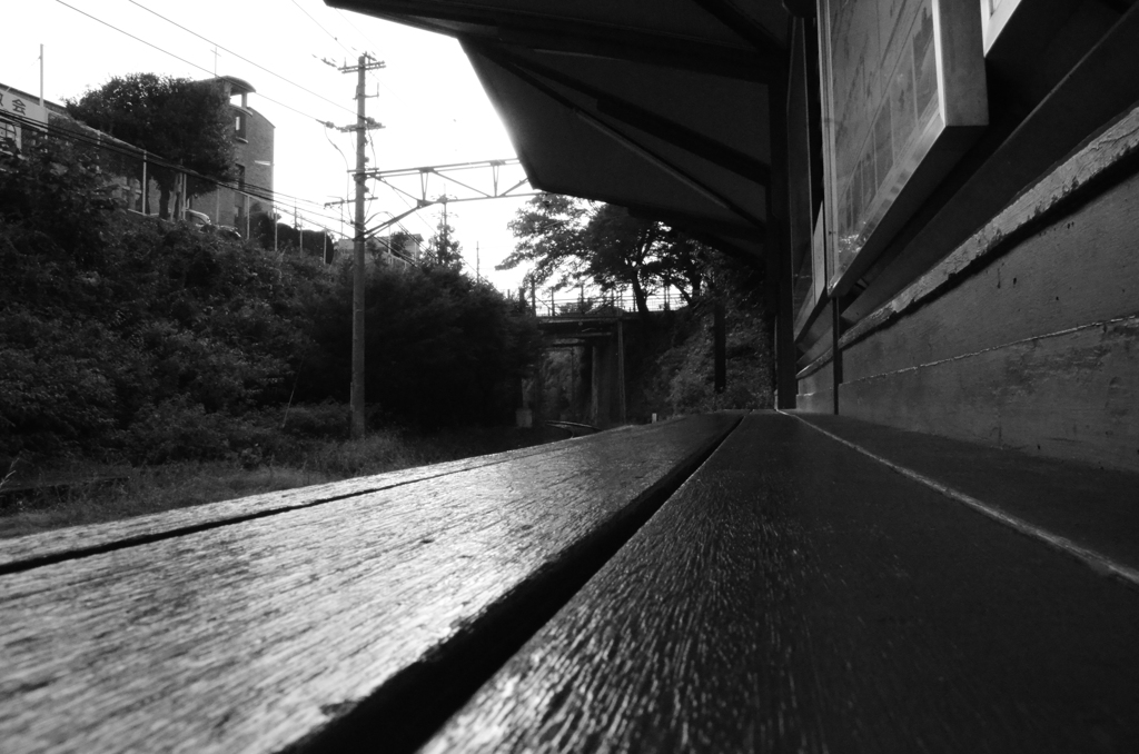 京都：ポタリング　5