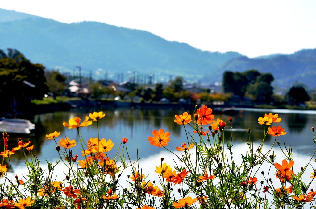 嵯峨野巡り