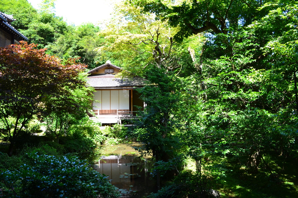 寂光院 (5)