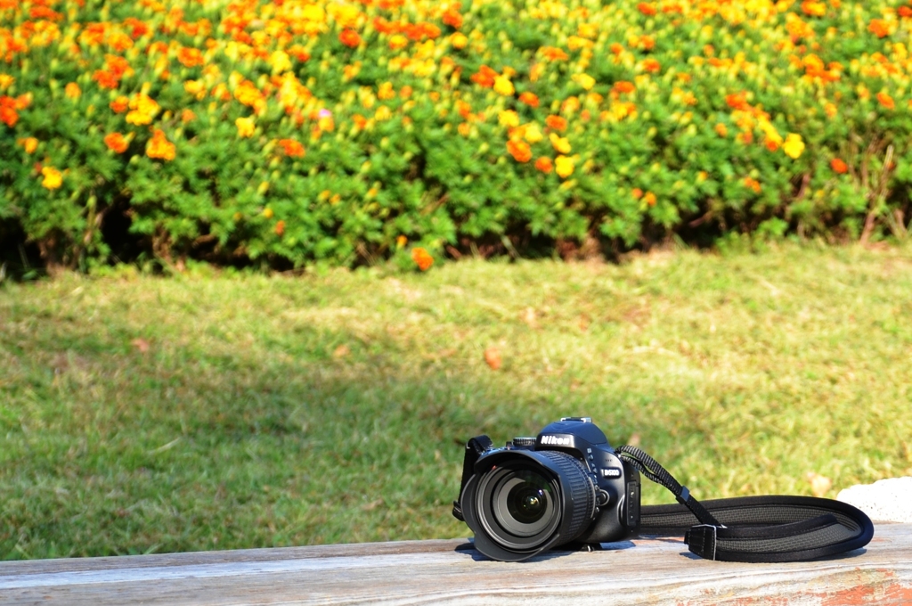 D5100