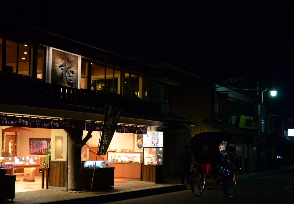 京都花灯路　宝厳院  (4)