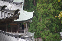 修行