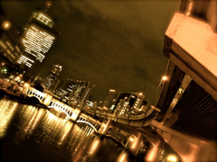 夜の光