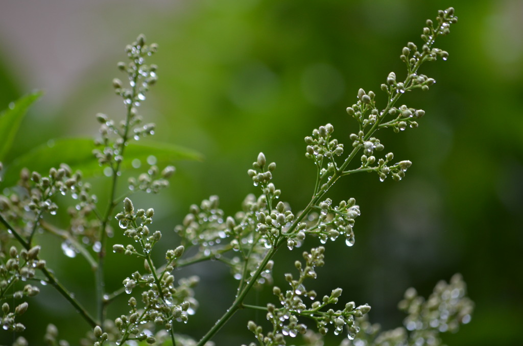 2011-may japan (124)