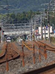 いつもの光景！