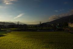 ライスフィールド