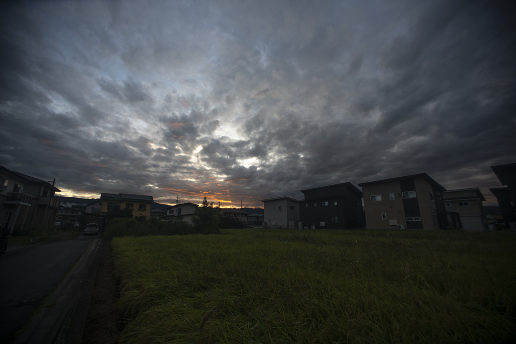 9月の朝