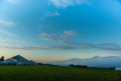 朝の青