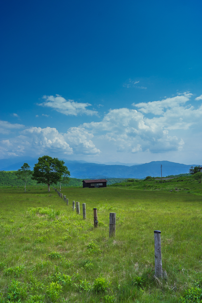 草原と空