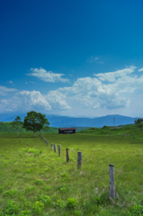 草原と空