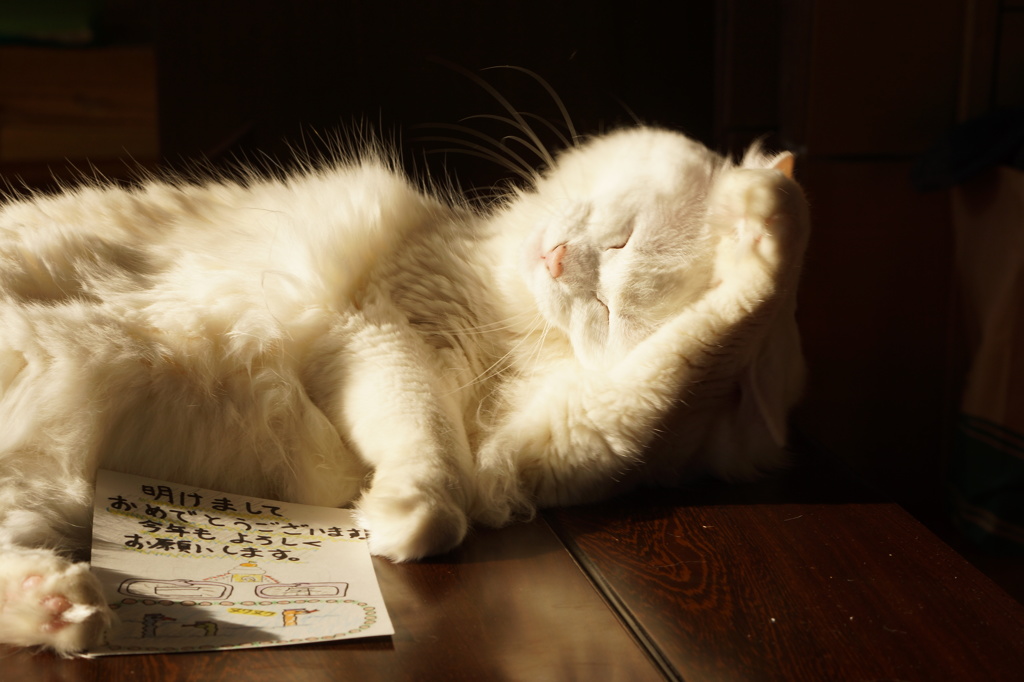 明けましておめでとうございます。