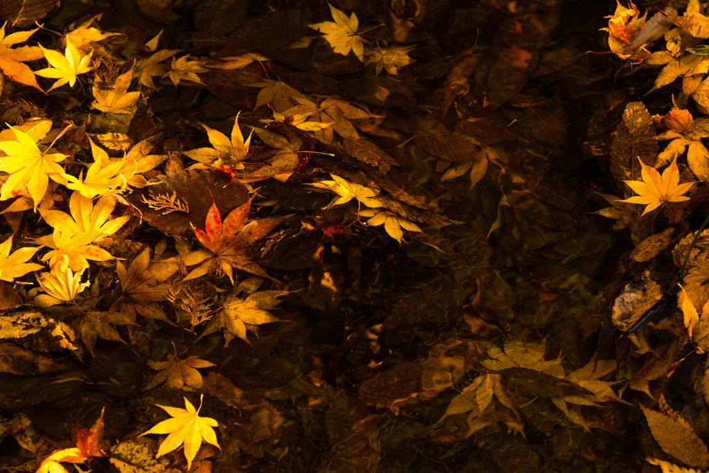 全ての物は沈む